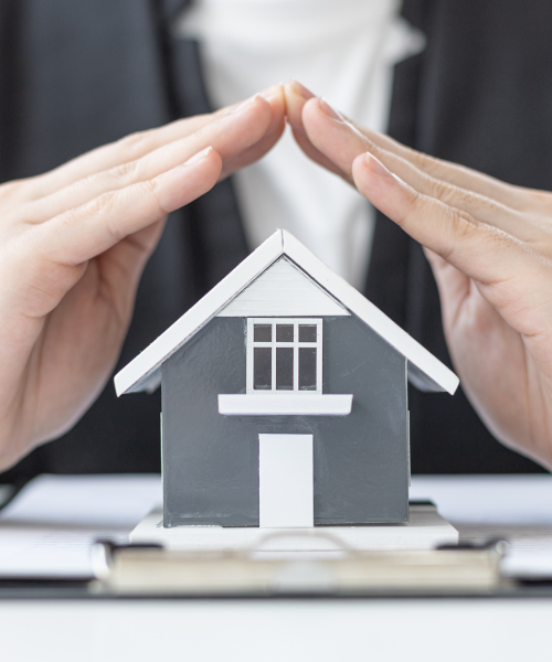Premium Plot Development